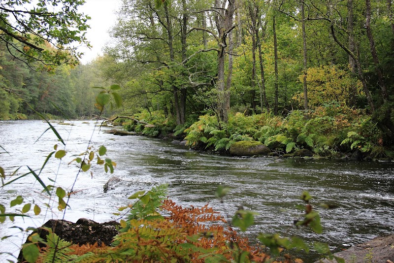 Käringahejans naturreservat