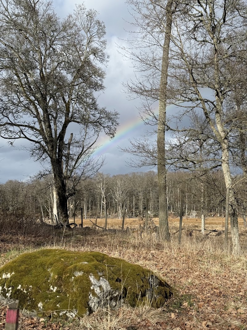 Stora Sundby Park