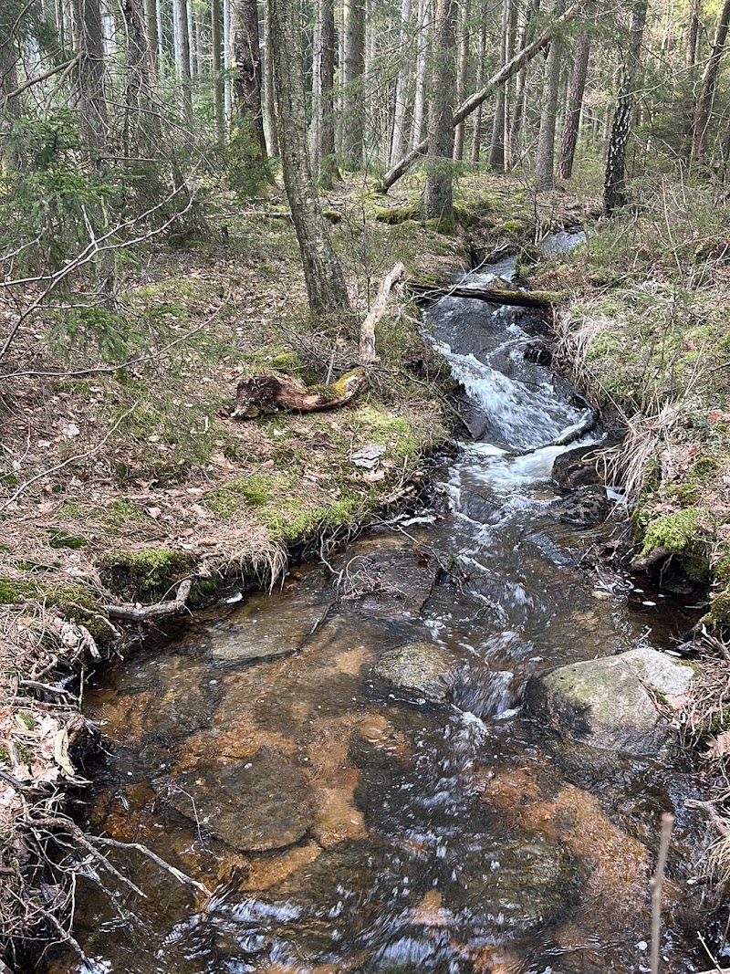 Ramsjöbäcken