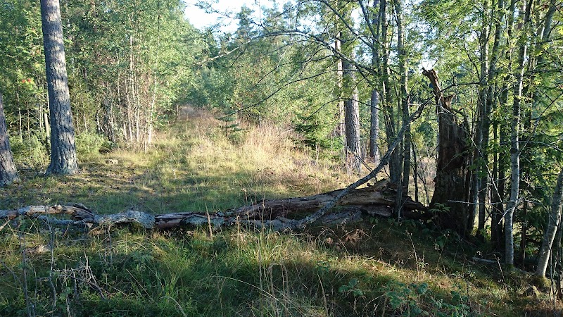Grådöåsens Naturreservat