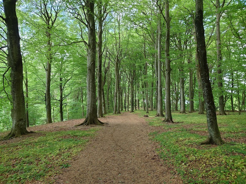 Rövarekulan