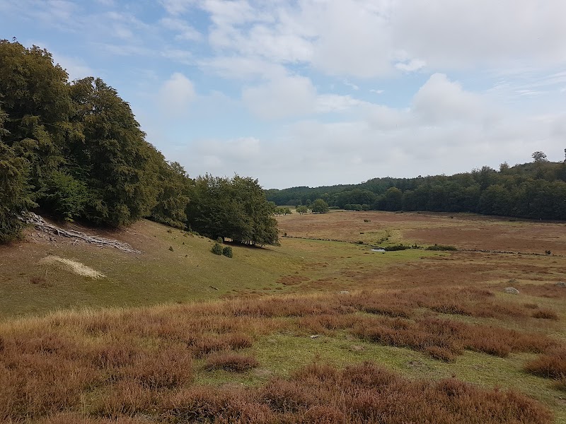 Maglehem naturreservat