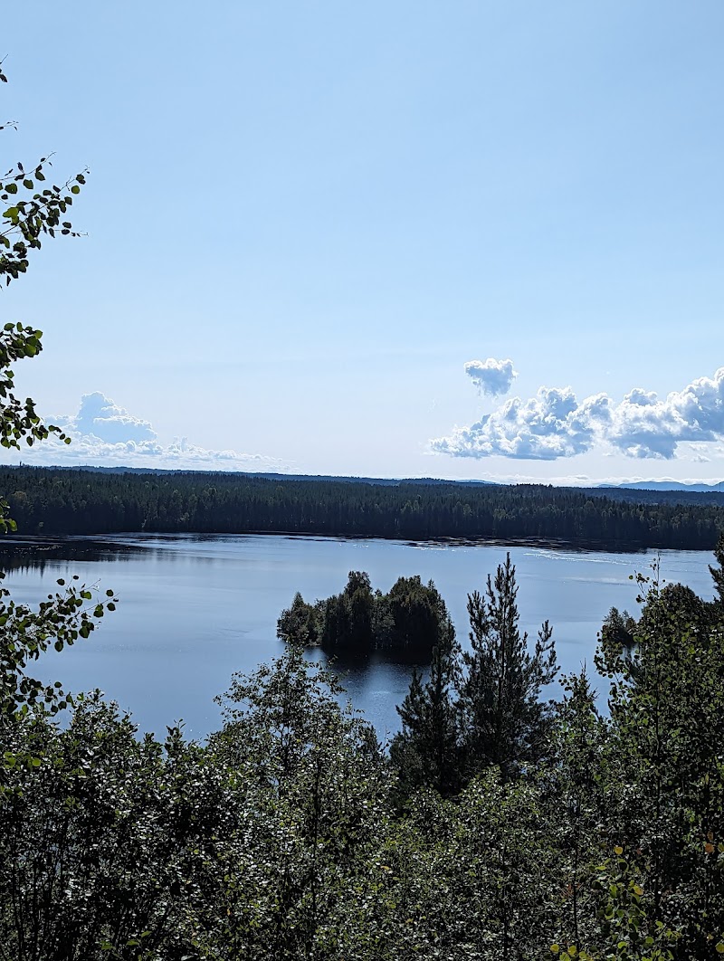 Salunäbb