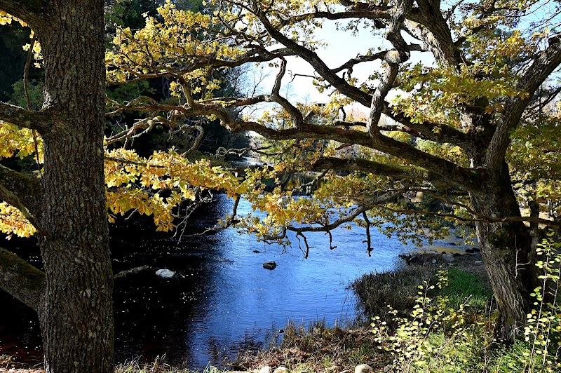 Färnebofjärden National Park