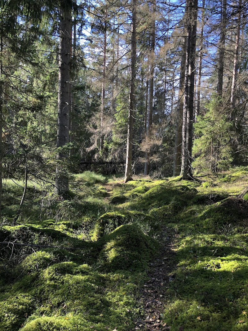 Bockaskruv Naturreservat