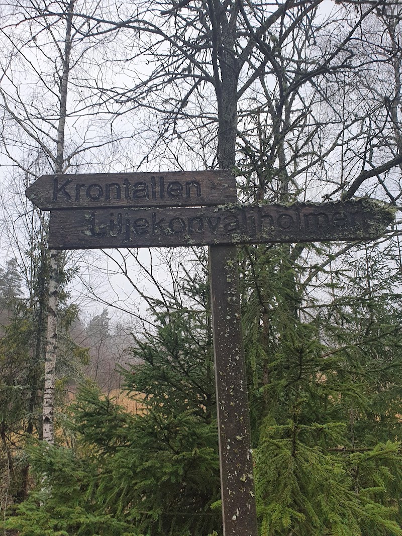 Krontallen