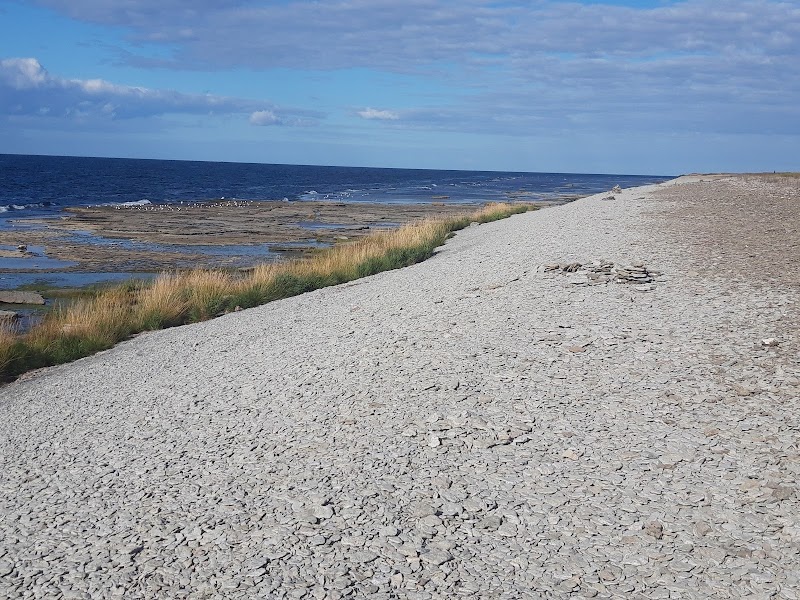 Neptuni åkrar