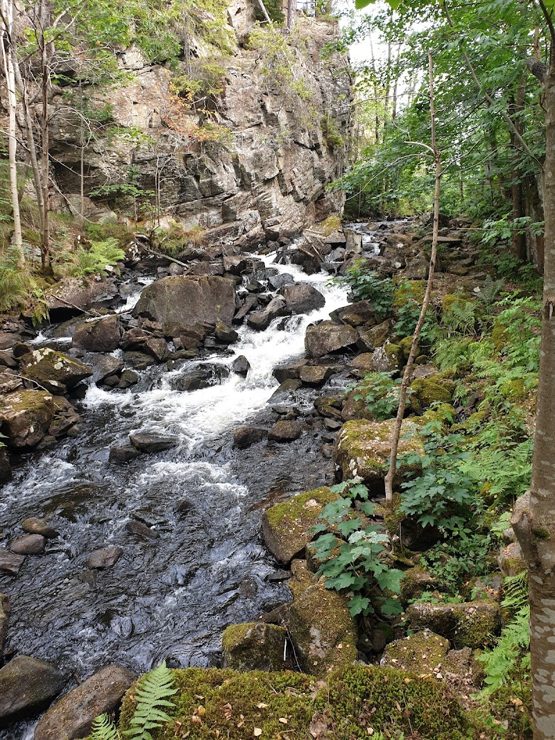 Risbohult Nature Reserve