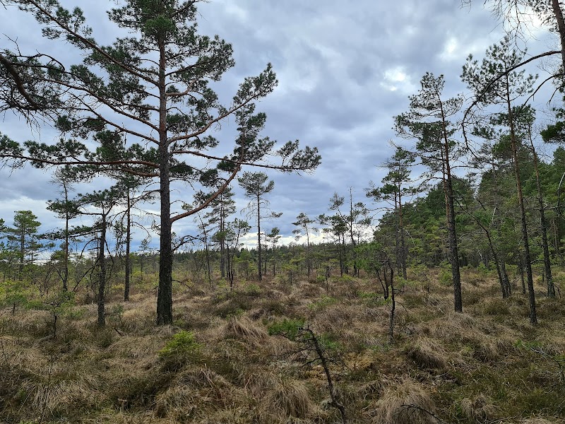 Långemossens naturreservat