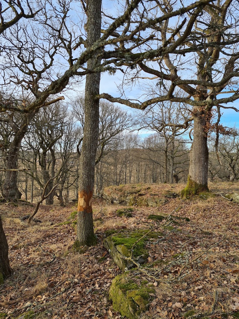 Åkrabergs naturreservat