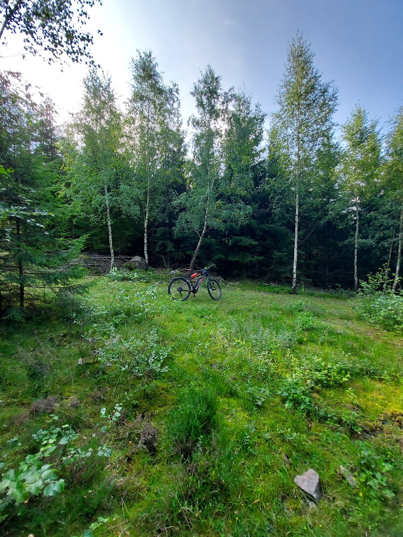 Hålldammsknattarna Naturreservat