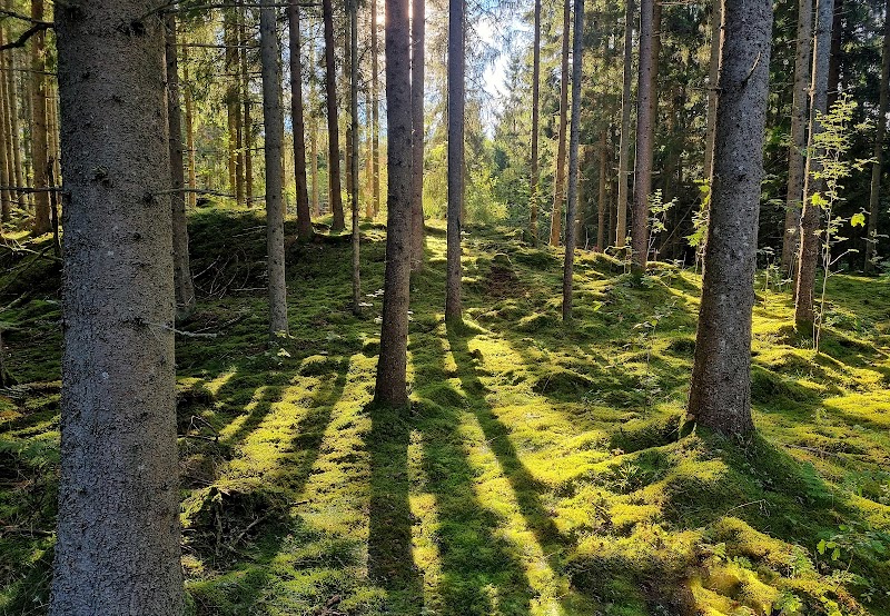 Bodabergs naturreservat