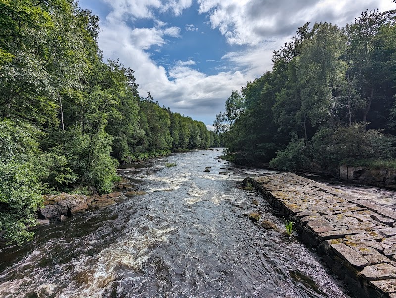 Hönebyggets naturreservat