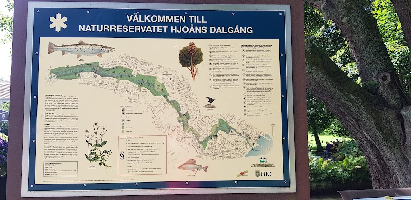 Hjoåns dalgång