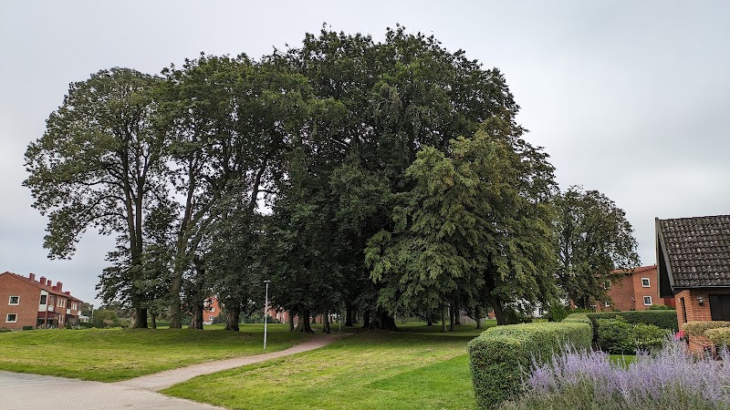 Uggleparken