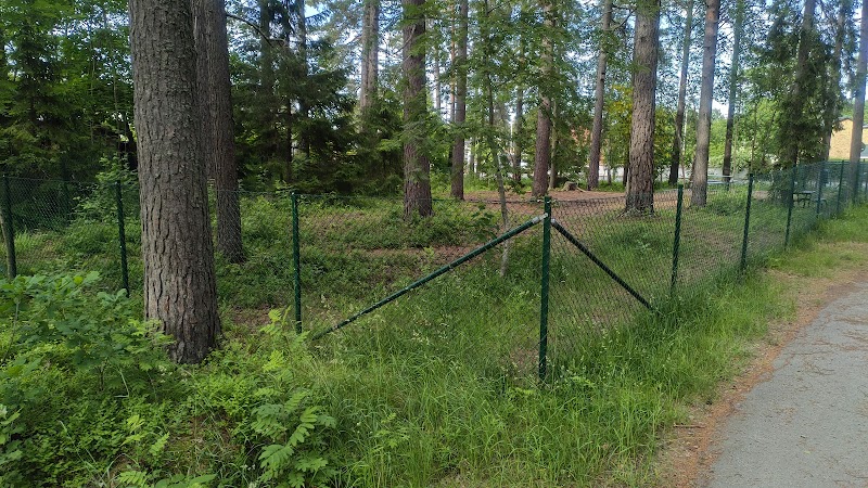 Dog park