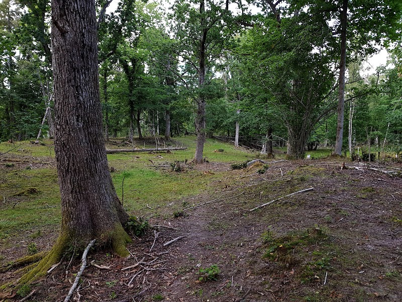 Svankila