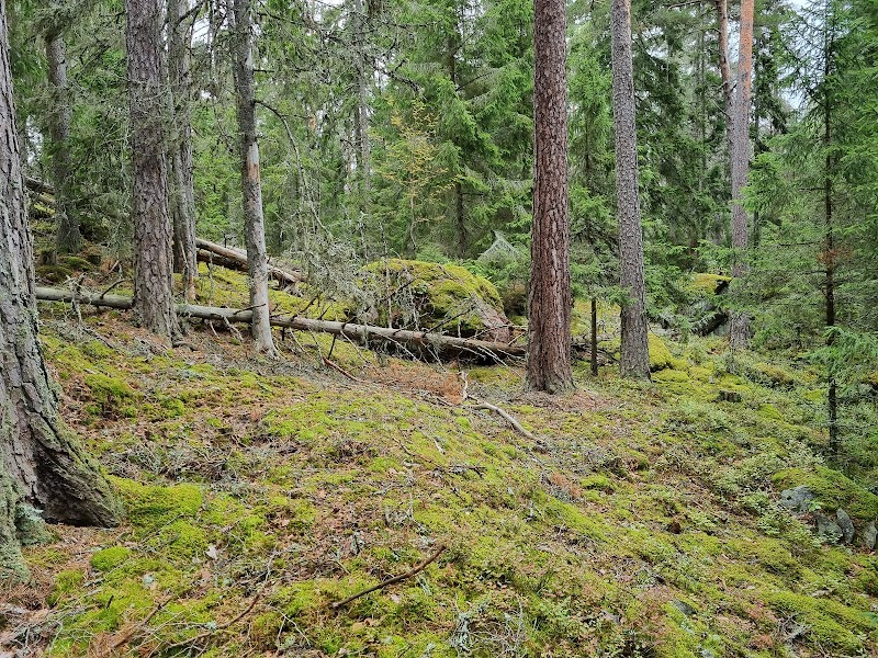 Långdalsgölen naturreservat