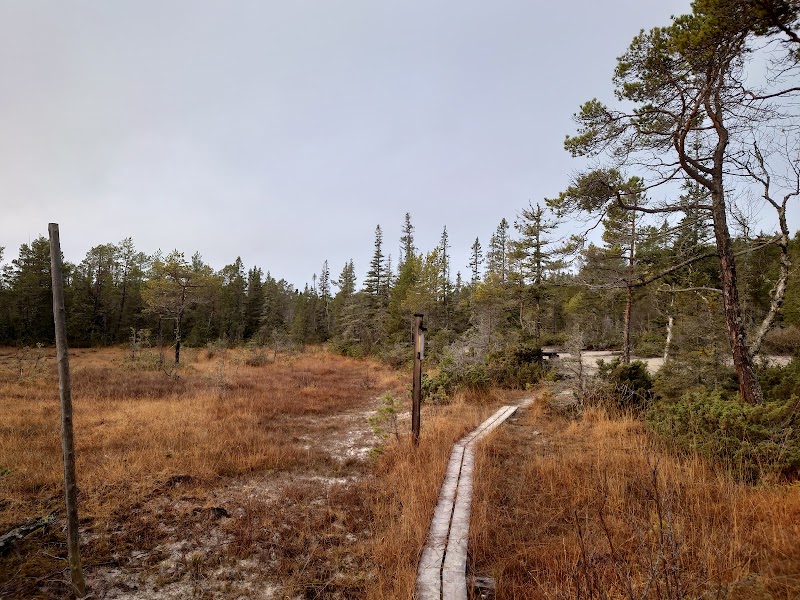 Acksjön