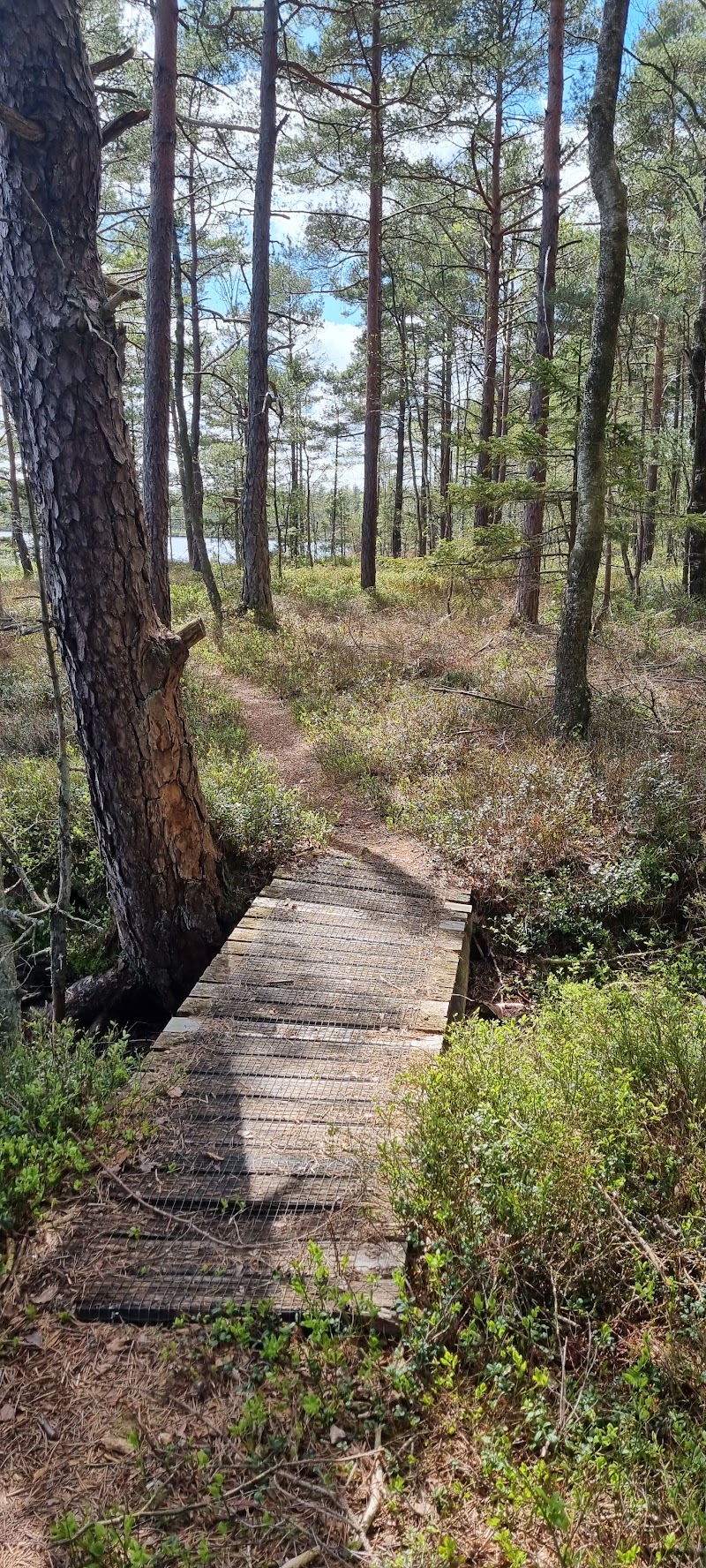 Naturreservat Fegen