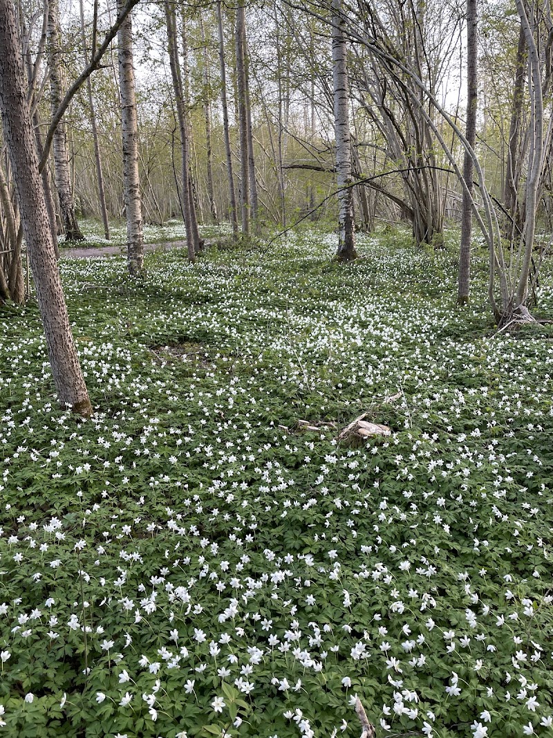 Vinteråsen