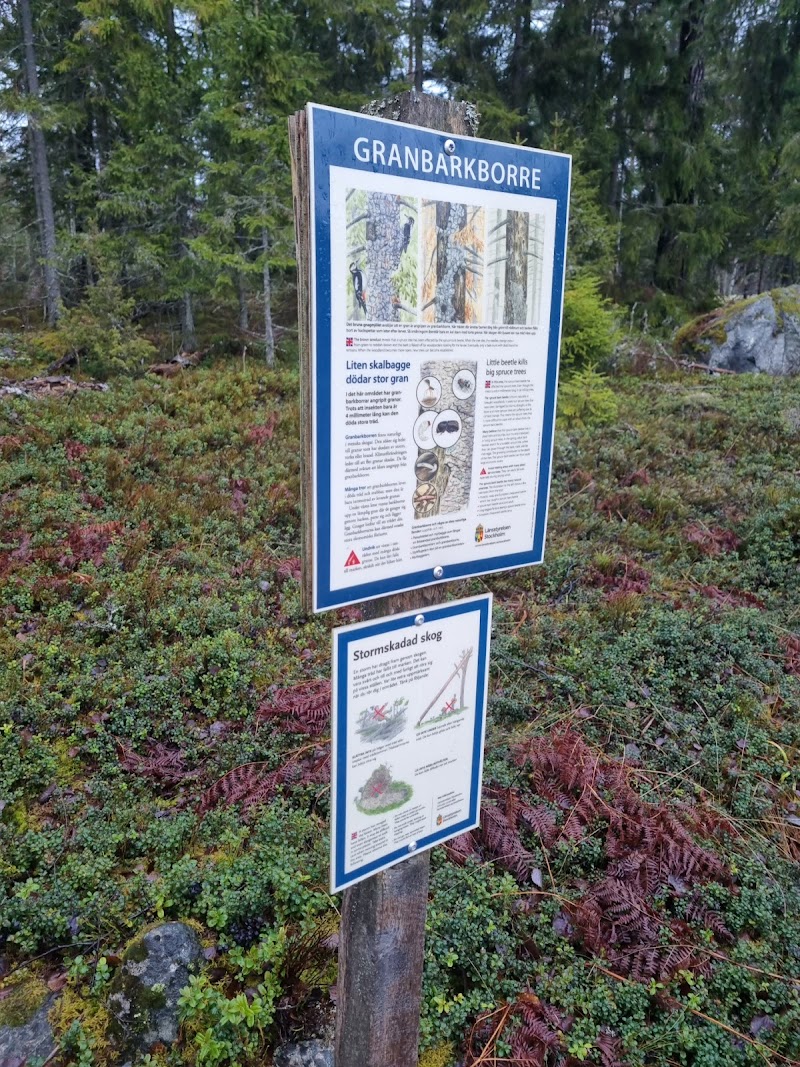 Vattmorabergets naturreservat