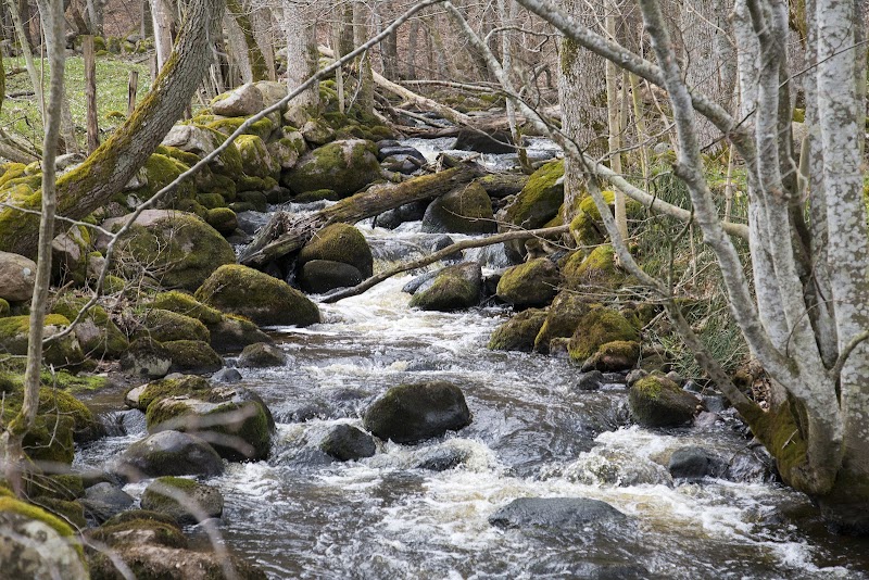 Ekedala