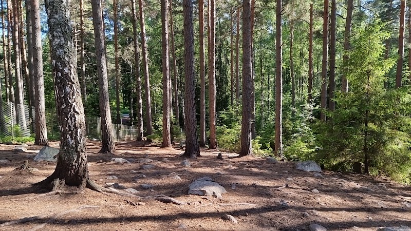 Lillsjöns Hundrastgård