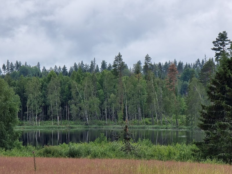 Gullsjön