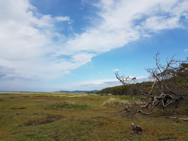 Strandbadsskogen