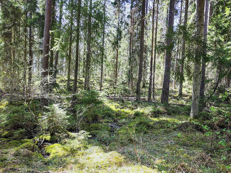 Sätra naturreservat