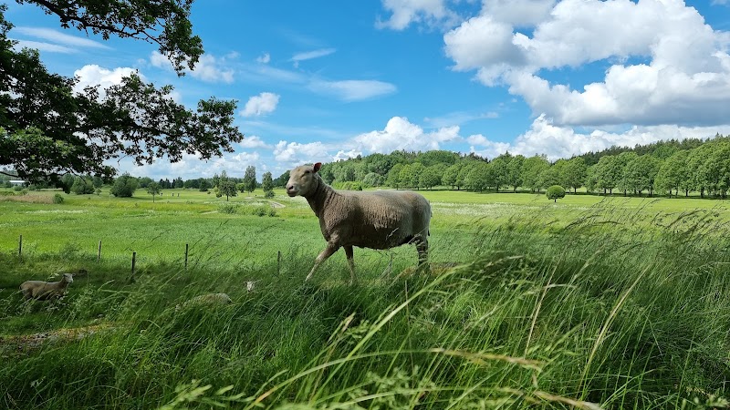 Ekbacken Naturreservat
