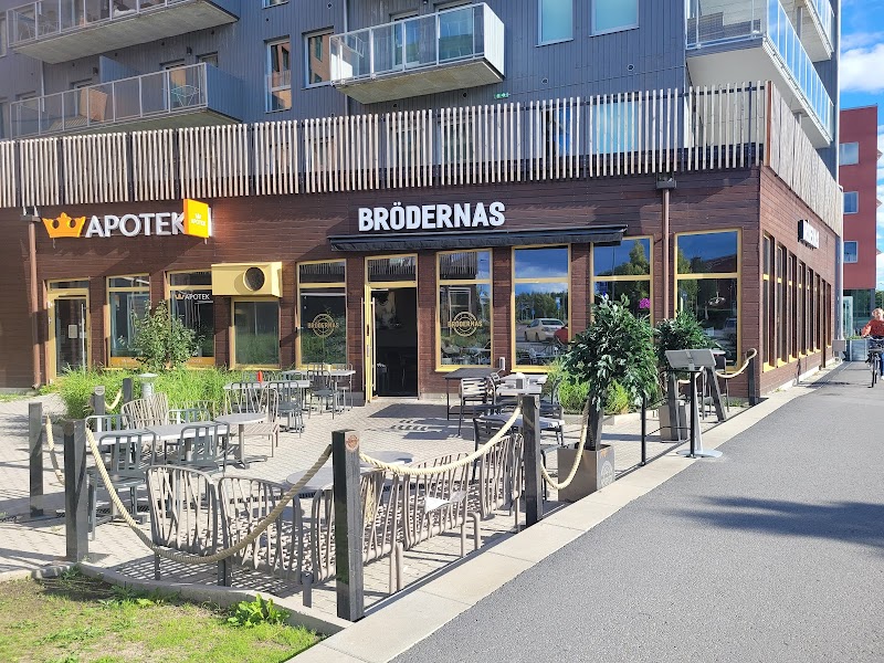 Brödernas