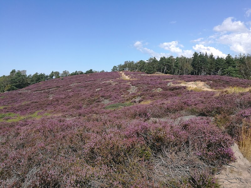 Änggård Mountains