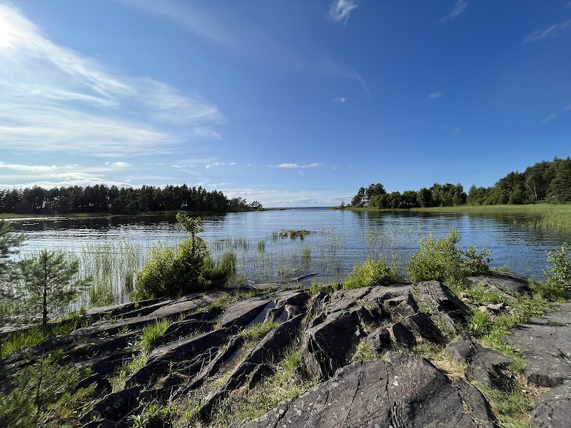 Varaskogen
