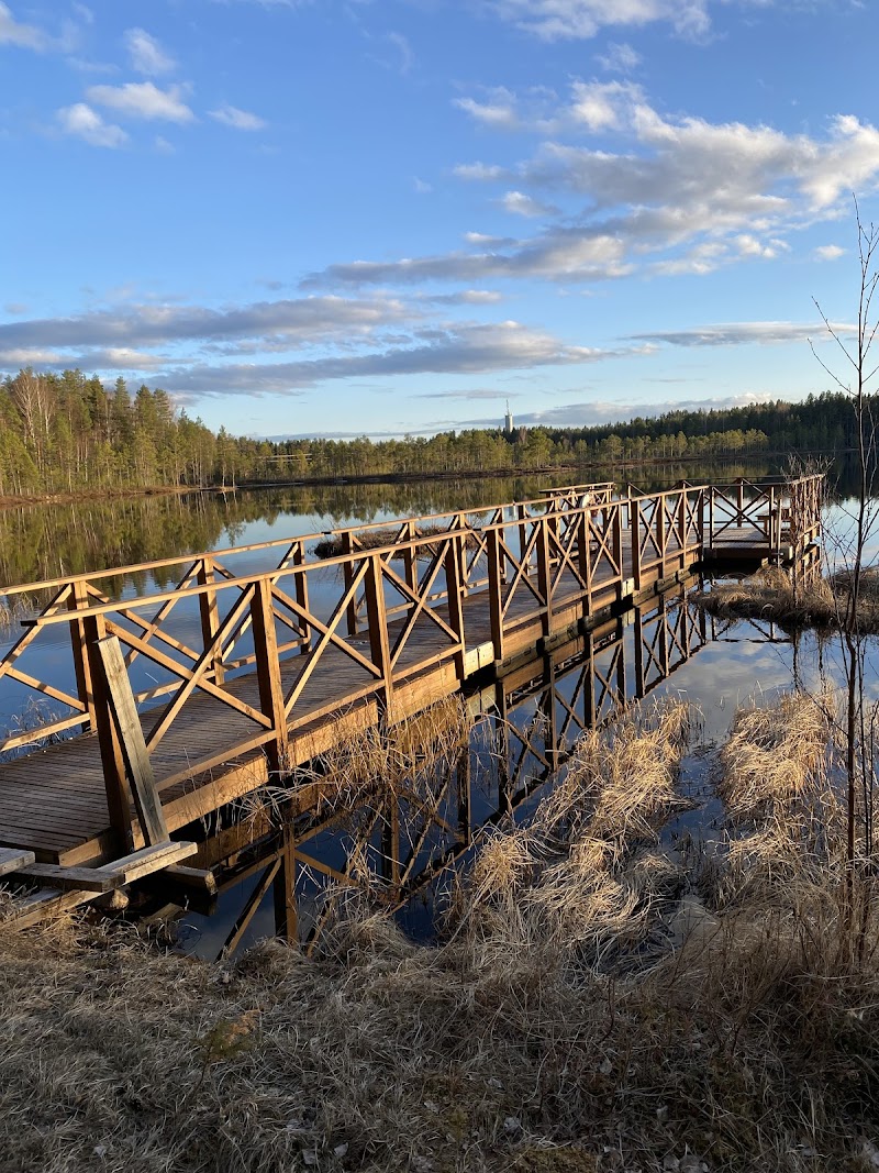 Tillhedstjärn