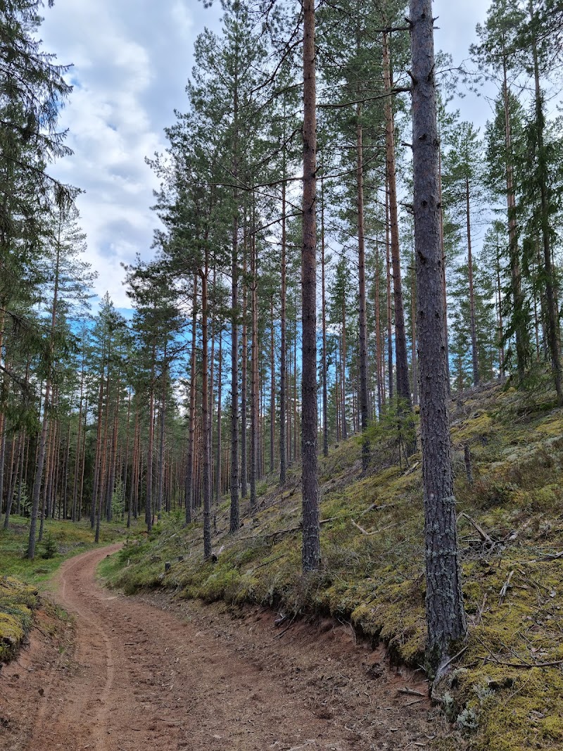 Flygsandfältet vid Dammsjön