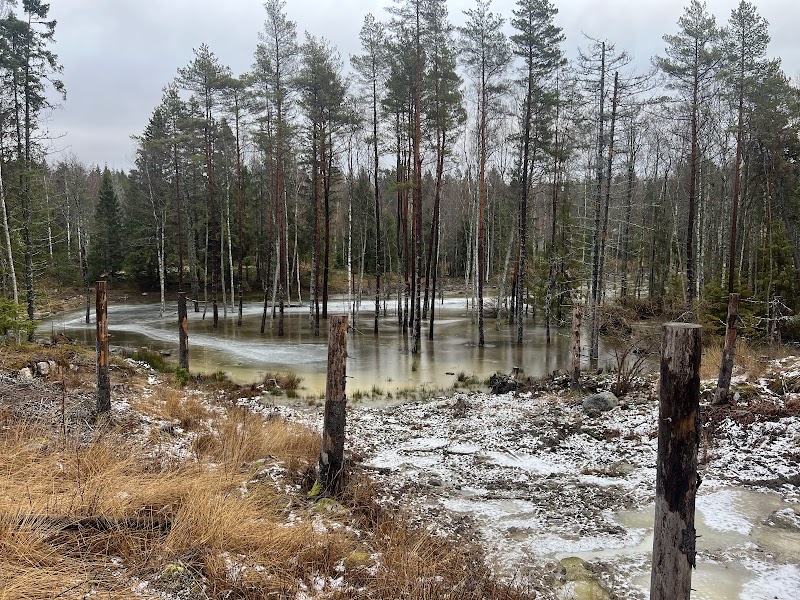 Lejondals natural reserve
