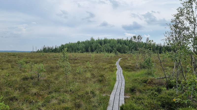 Vakö myr