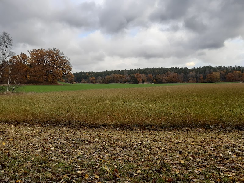 Häringe-Hammersta naturreservat