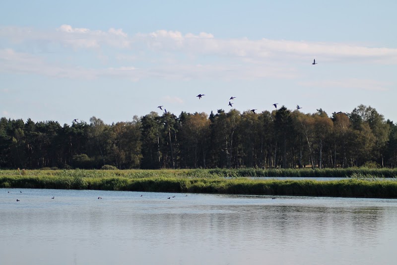 Västra märgelgraven Nature preserve