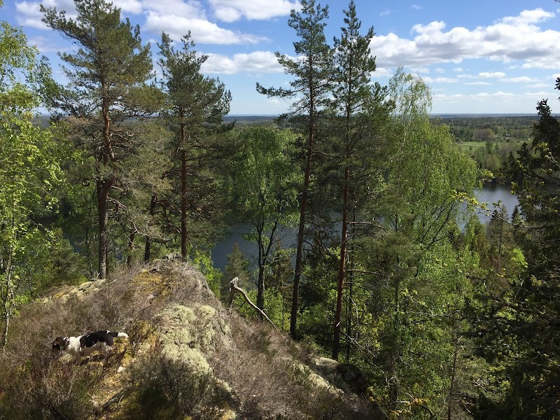 Rannebergets naturreservat