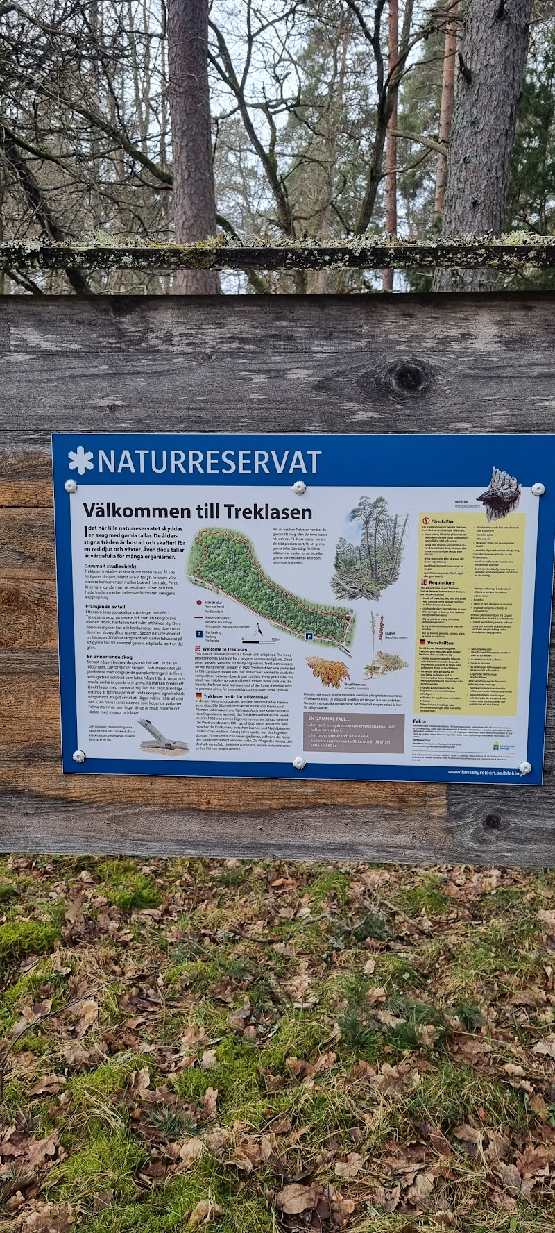 Treklasens naturreservat
