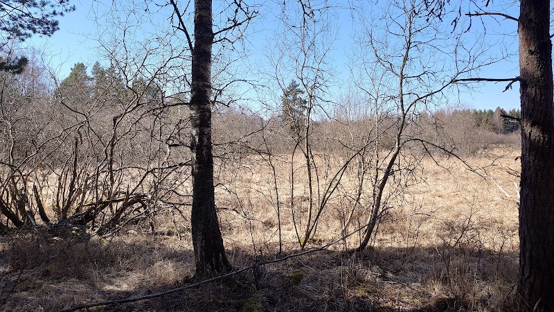 Hedesundafjärdens naturreservat