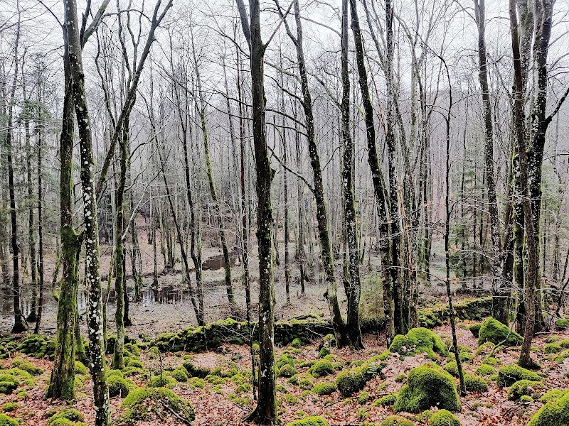 Frostavallen strövområde, Bjäret naturreservat