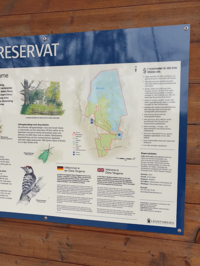 Östra Tångarne naturreservat