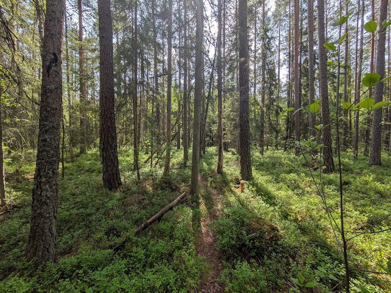 Göstrings urskog naturreservat