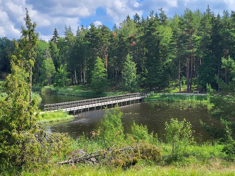 Kolardammarna