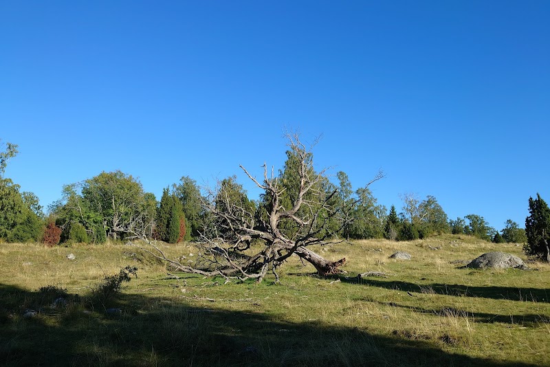 Lindby brygga