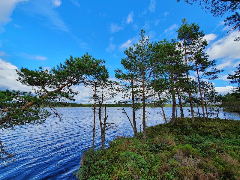 Bredsjömossens naturreservat